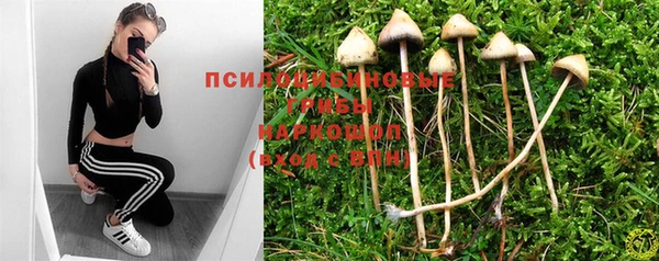 хмурый Армянск