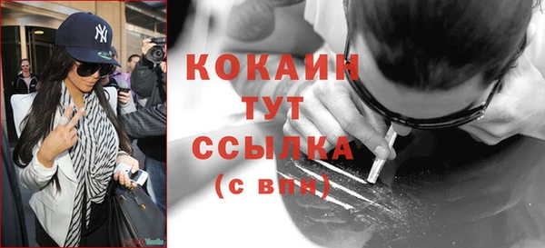 стафф Арсеньев