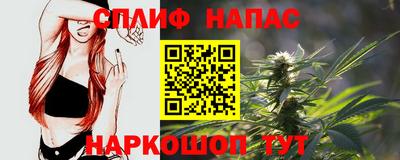 гашик Моздок