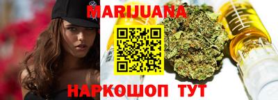 гашик Моздок