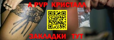 гашик Моздок