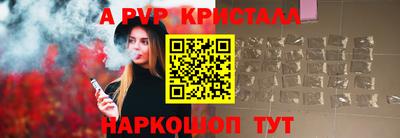 гашик Моздок