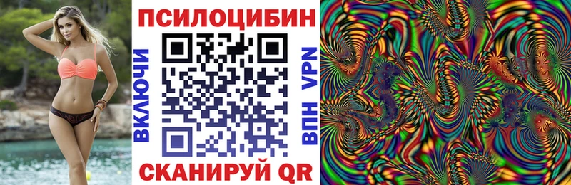 хочу   Заинск  Псилоцибиновые грибы Cubensis 