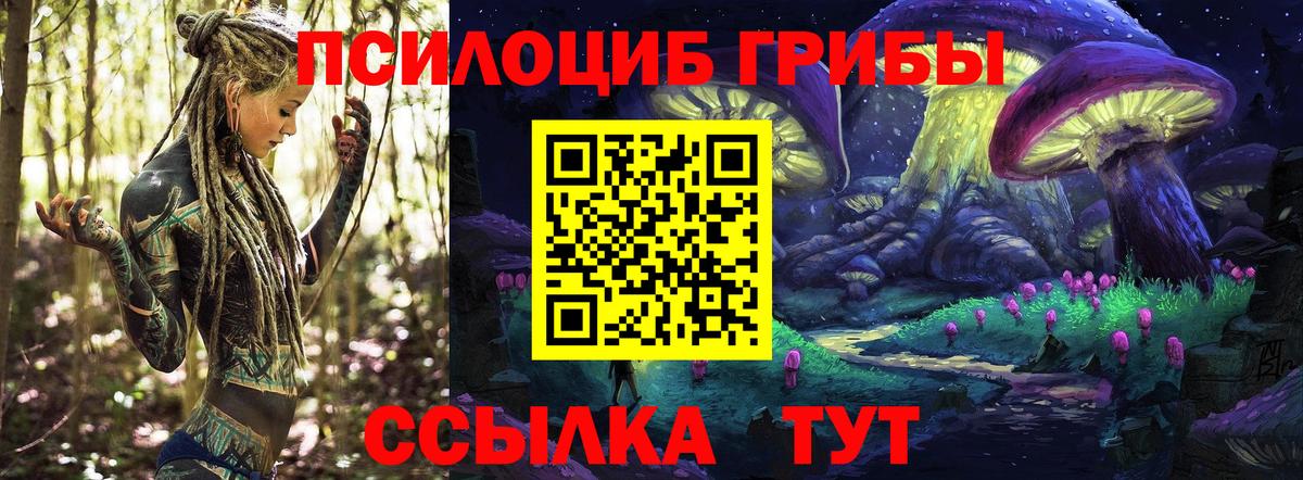 Псилоцибиновые грибы GOLDEN TEACHER Заинск
