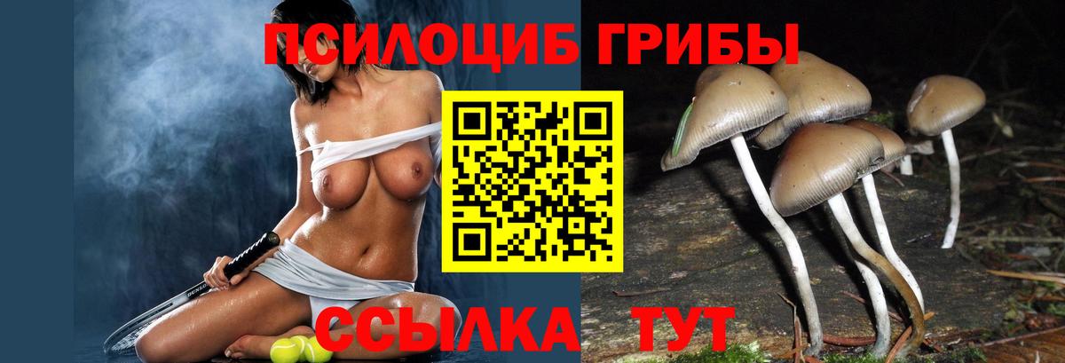 Заинск  Псилоцибиновые грибы прущие грибы  Вход с VPN 